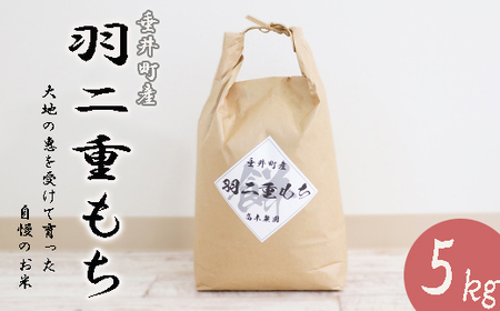【令和7年産】 岐阜県産 羽二重もち 5kg  | 垂井町産 もちごめ もち米 餅米 精米 高品質 安心 安全 リピーター多数 贈答用 贈り物 ギフト プレゼント 人気