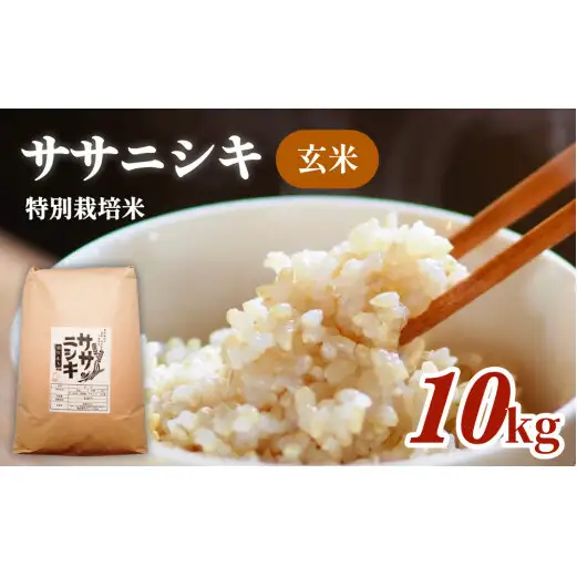 特別栽培米 ササニシキ 玄米 10kg