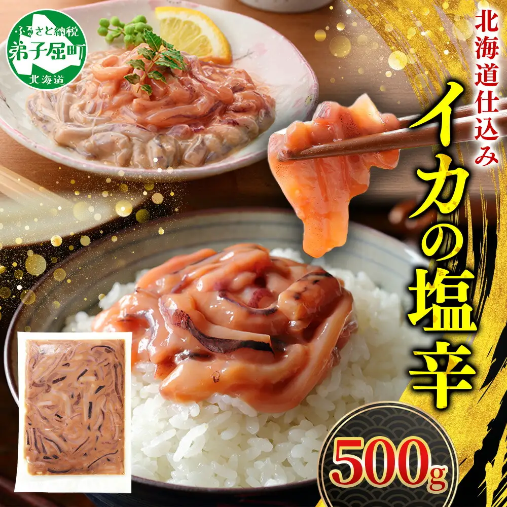3163. イカの塩辛 500g イカ スルメイカ いか 珍味 海鮮 魚介 塩辛 ご飯のお供 烏賊 送料無料 北海道 弟子屈町