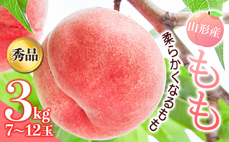 《先行予約 2026年発送》山形産もも3kg（柔らかくなるもも） もも モモ 桃 デザート フルーツ 果物 くだもの 果実 食品 山形県 FSY-2449