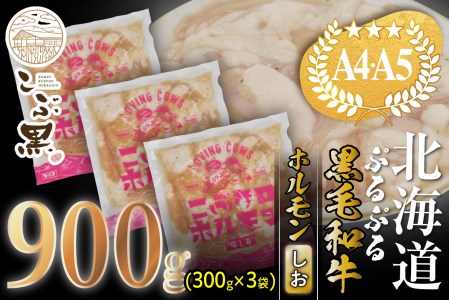 北海道産 黒毛和牛 こぶ黒 和牛 しお ホルモン 計 900g (300g×3パック) ＜LC＞