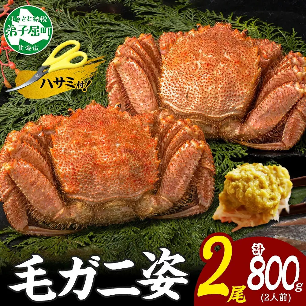 カニ 蟹 毛蟹 2尾 計800g前後 食べ方ガイド・専用ハサミ付 カニ かに 蟹 海鮮 ボイル カニ 蟹 海鮮  魚介 北海道 3357