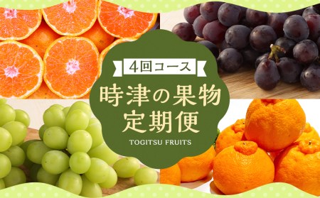 【定期便 4回コース】時津の果物定期便 みかんとぶどうの町から贈る 特産品の定期便 定期便 4回 果物 くだもの フルーツ シャインマスカット 巨峰 みかん 不知火