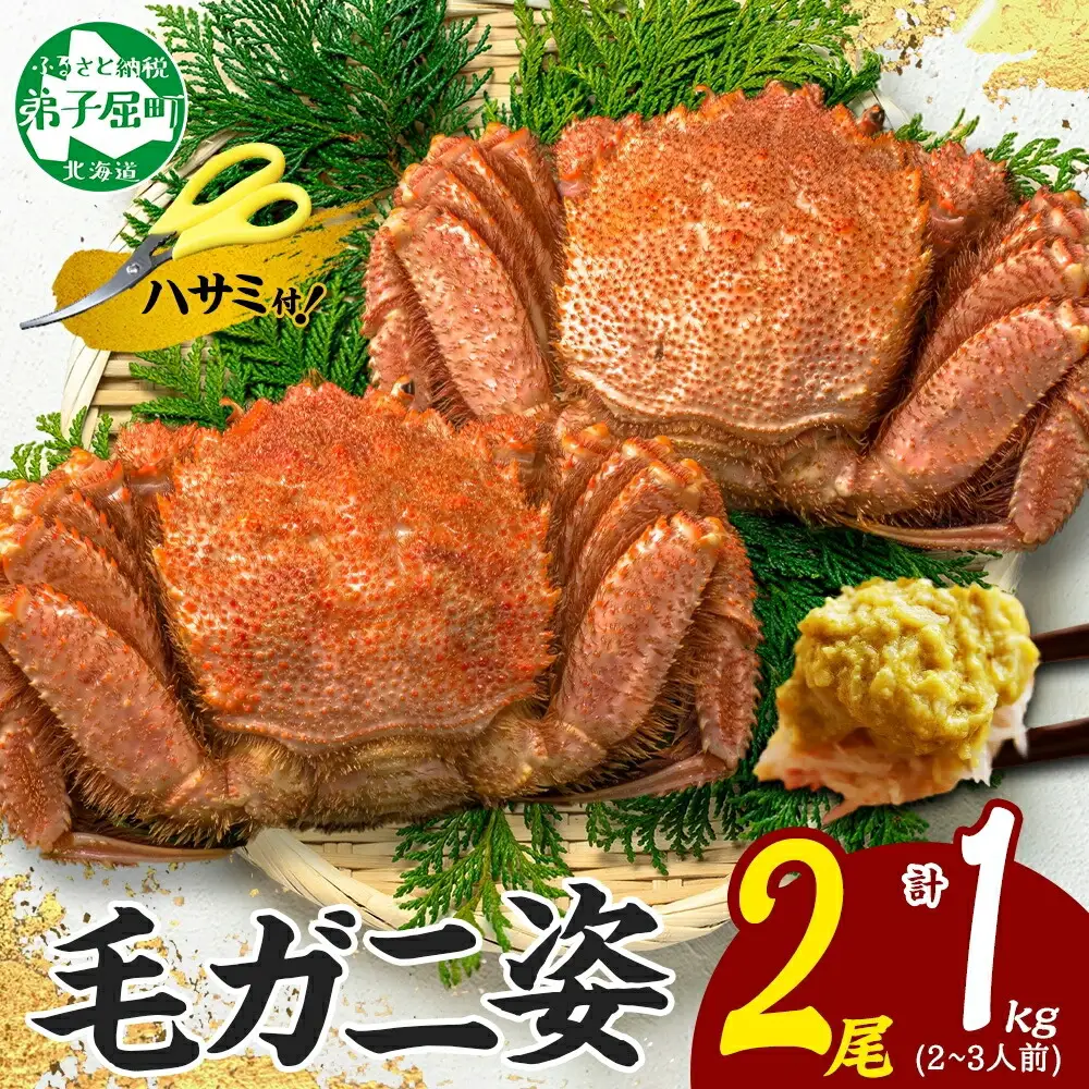 3319.毛蟹 2尾 計1kg前後 食べ方ガイド・専用ハサミ付 カニ かに 蟹 海鮮 ボイル 送料無料 北海道 弟子屈町