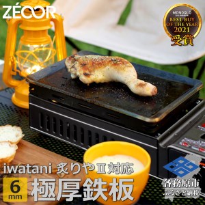 815 イワタニ 炉ばた焼器炙りや2 炙りや 専用 極厚鉄板（板厚6mm/スタンダード) IW60[sanitize]07A