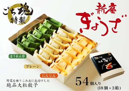 【ごち魂】の特製３色「新座ぎょうざ」