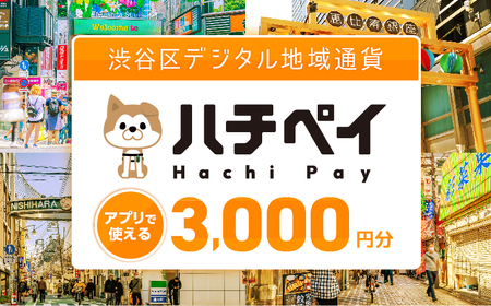 渋谷区デジタル地域通貨「ハチペイ」3,000円分【109001】
