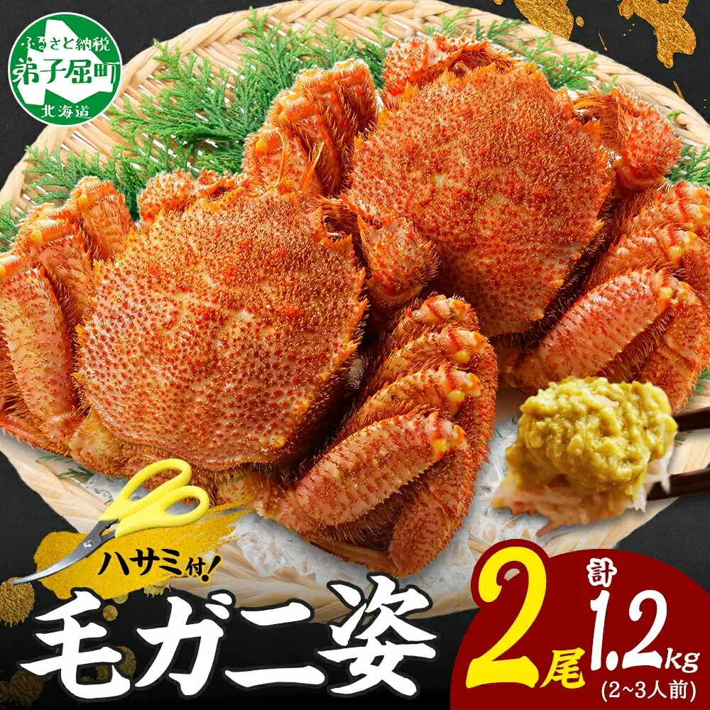 3335.毛蟹 2尾 計1.2kg前後 食べ方ガイド・専用ハサミ付 カニ かに 蟹 海鮮 ボイル 送料無料  北海道 弟子屈町
