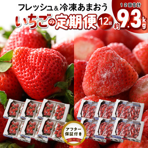 【いちごの年間定期便】　あまおう　約560g（約280g×2パック）× 12月～5月まで計6回　　 冷凍あまおう　1000g（500g×2パック）×6月～11月まで計6回 〔Fi052〕