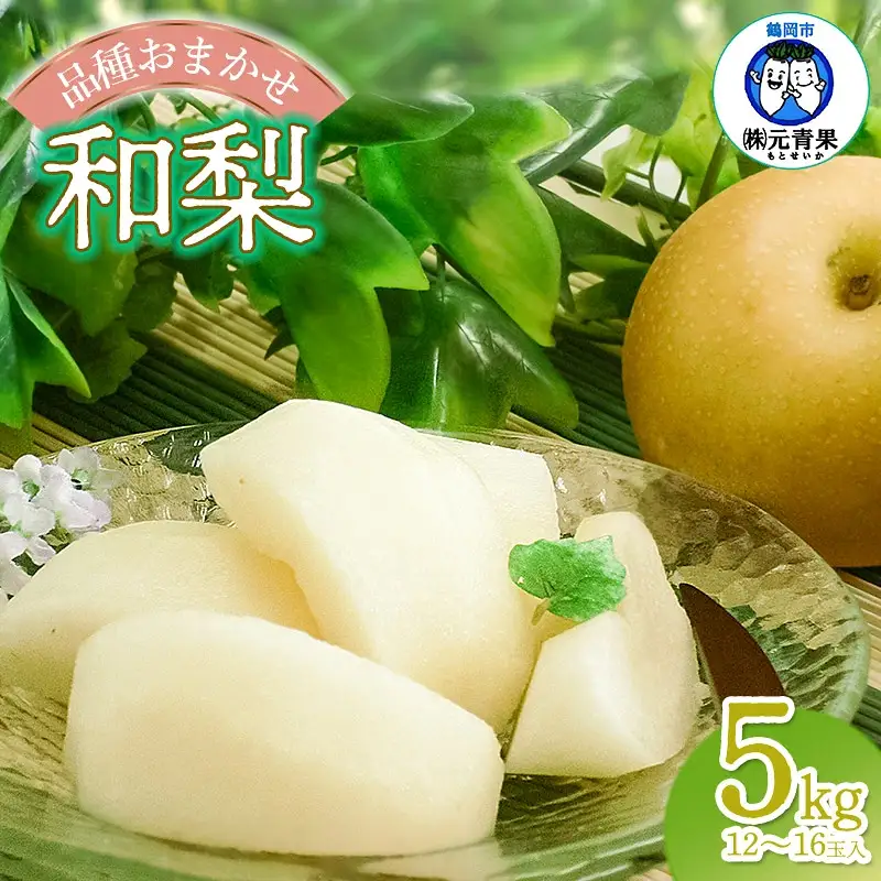 【令和8年産先行予約】 和梨 品種おまかせ 秀品 5kg (12～16玉)  山形県鶴岡市産　株式会社 元青果