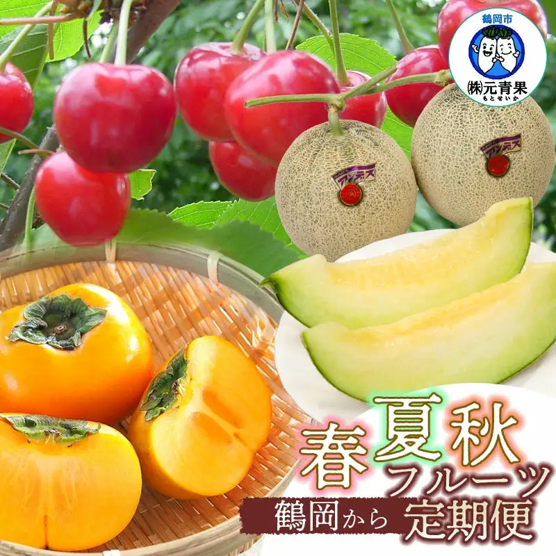 【令和8年産先行予約】 鶴岡から春夏秋のフルーツ定期便【3回お届け】山形県鶴岡産　株式会社 元青果