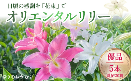 日頃の感謝を「花束」で、オリエンタルリリー【優品5本】 誕生日 植物 フラワー プレゼント 花束 ゆり リリー お花／Osy-14
