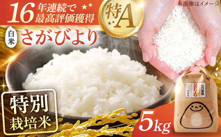 さがびより白米5kg /江口農園 [UBF003] 白米