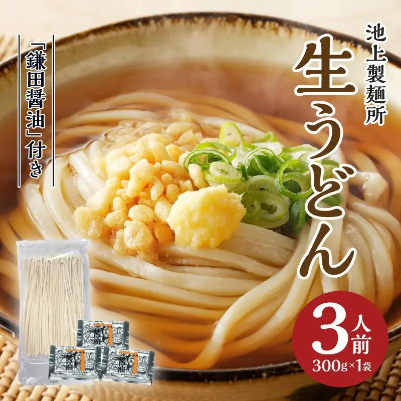 本家　池上製麺所　生うどん（鎌田醤油付）1袋（3人前） うどん