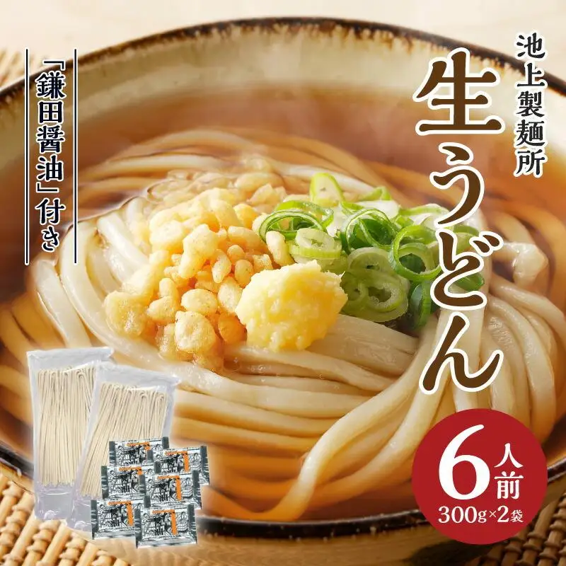 本家　池上製麺所　生うどん（鎌田醤油付）2袋（6人前） うどん