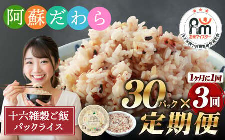【定期便3ヶ月】阿蘇だわら 十六雑穀ごはん パックライス 160g×30パック 合計90パック 国産 お米 米