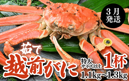 【先行予約】【3月発送限定】茹で越前がに  1杯 1.1kg～1.3kg《新鮮！茹でたてを発送》／ 高級 福井 ブランド ズワイガニ ボイル 黄色タグ 冷蔵 蟹 カニ 期間限定【最終寄付 3月10日まで】※2027年3月上旬～2027年3月中旬で発送 [aw002-x004_03]