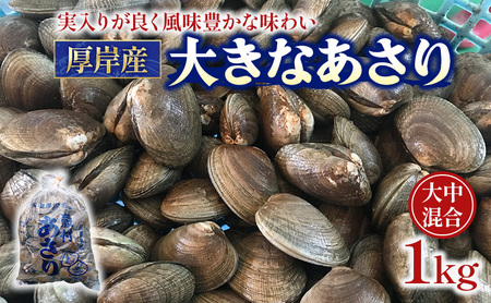 あさり 漁師から直で仕入れ！厚岸産の大きなあさり 1kg 海鮮 旨味 ミネラル豊富 タウリン アサリ みそ汁 酒蒸し 砂出し済 
