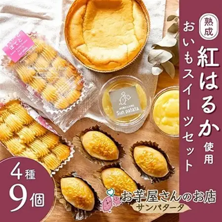 茨城県かすみがうら市産の熟成「紅はるか」を使用した、おいもスイーツセット　4種計9個_菓子・スイーツ ケーキ    菓子・スイーツ 和菓子  _【配送不可地域：離島】【1368417】