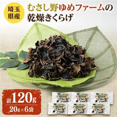 埼玉県産　むさし野ゆめファームの乾燥きくらげ　20g×6袋【1368319】