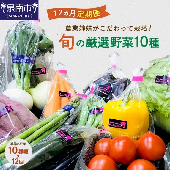 農業姉妹がこだわって栽培！旬の厳選野菜10種 1年定期便【024A-021】