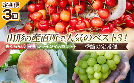 【定期便3回】山形の産直所で人気のベスト3！さくらんぼ・白桃・シャインマスカット【季節の定番便】くだもの 果物 フルーツ 山形 山形県 山形市 FZ25-946