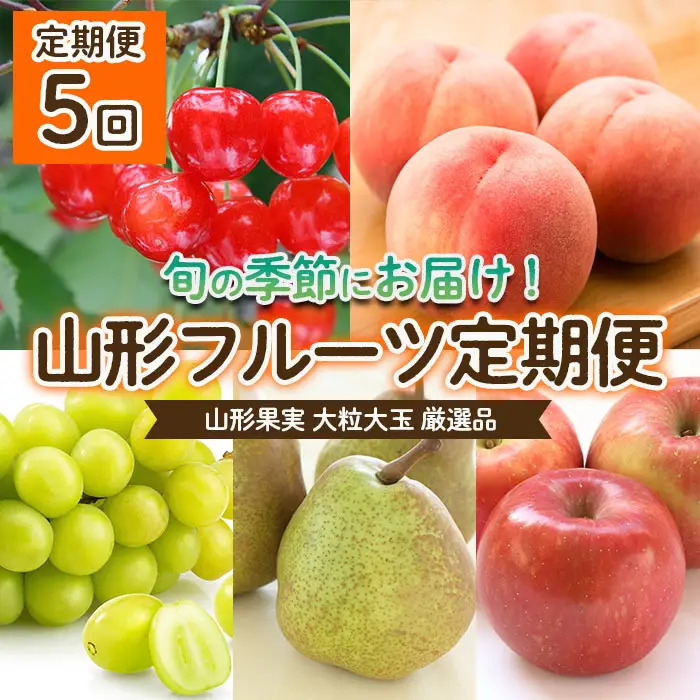 【定期便5回】山形果実 大粒 大玉 厳選品 【令和8年産先行予約】FU22-070 くだもの 果物 フルーツ 山形 山形県 山形市 2026年産