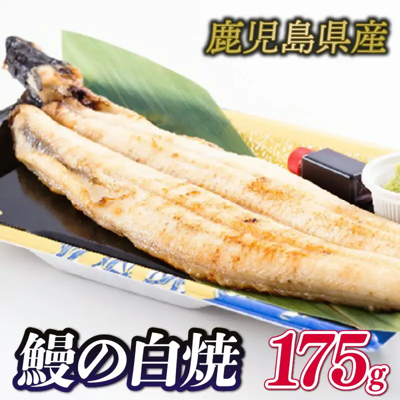 国産鰻の白焼1尾175g冷凍 うなぎ GZ