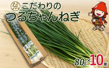 弦本農園のこだわりのつるちゃんねぎ 80g×10束 | 葱 ねぎ ネギ 小葱 小ねぎ 小ネギ 薬味 大分県 中津市