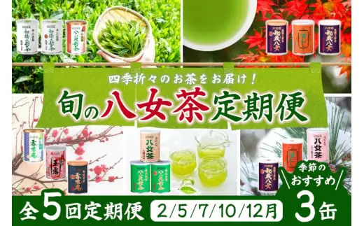 【定期便】八女茶100％ 産地の香りを封印した高級缶詰茶 ≪ ３缶ずつ 年間５回 ≫ ＜岩崎園製茶＞　075-T003
