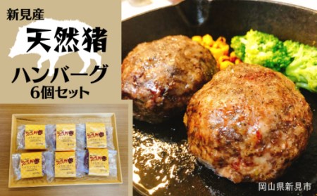 新見産天然猪ハンバーグ 6個セット