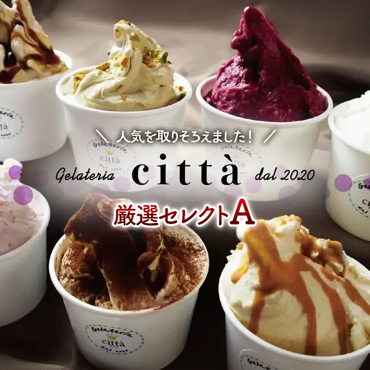 チッタジェラート”厳選セレクトA” 12個 | ミルク 濃厚 人気 アイス カップ デザート おやつ スイーツ ご褒美 ミヤコ農園 citta