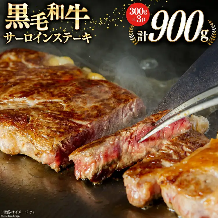 宮崎県産 黒毛和牛 サーロイン ステーキ 300g×3 計900g [サンアグリフーズ 宮崎県 美郷町 31ba0026]