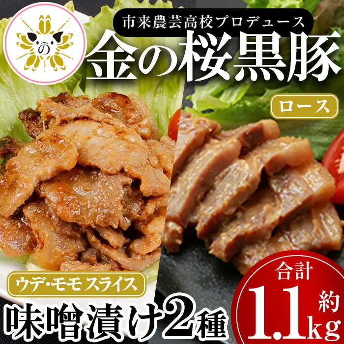  金の桜黒豚味噌漬け(2種・合計約1.1kg)レンジ対応！いちき串木野産黒豚 高校生が丹精込めて育てた黒豚【00-057-11】
