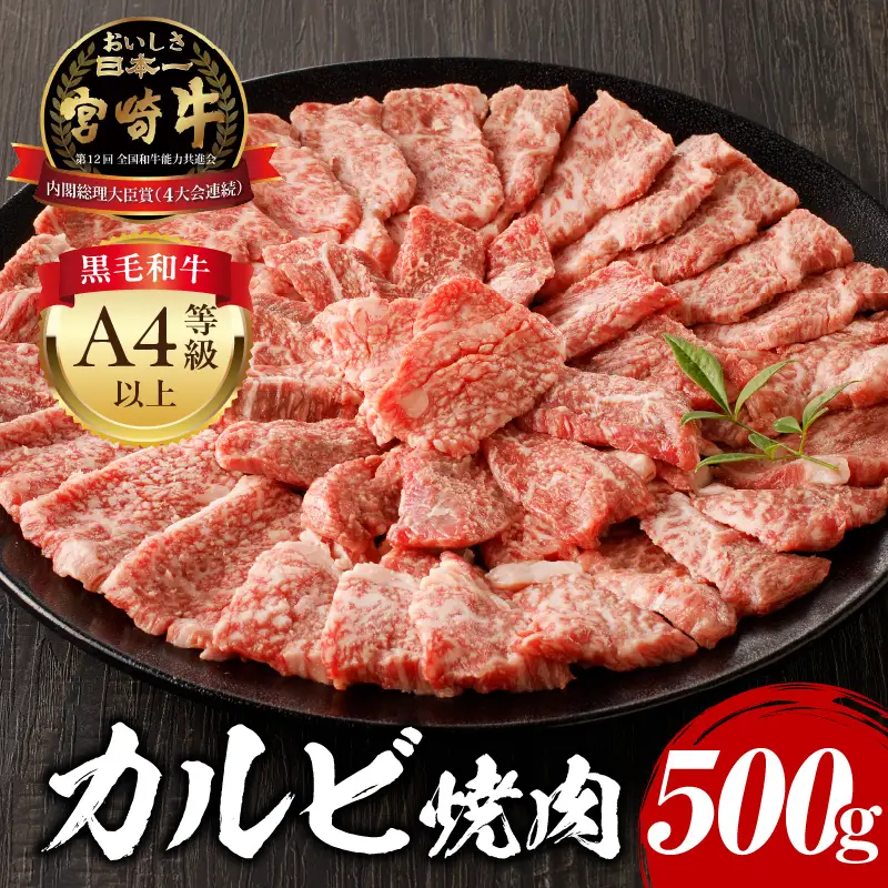 牛肉 カルビ焼肉 牛肉[宮崎牛 500g]