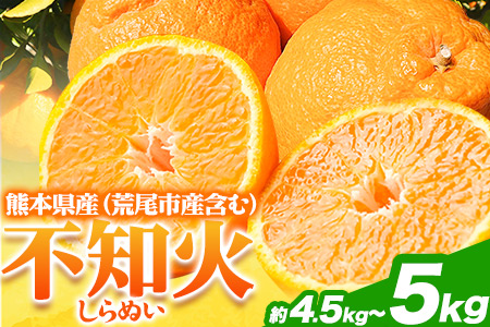 不知火 約 4.5kg～ 5kg みかん《2027年2月下旬-4月下旬頃出荷》熊本県産(荒尾市産含む) 柑橘 フルーツ フレッシュフーズ 不知火 果物 デコポン と同品種 送料無料 果物 シラヌヒ シラヌイ フレッシュフーズ 美味しい不知火 旬の不知火 ジューシー不知火 フルーツ不知火