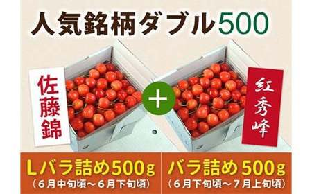 《先行予約 2026年度発送》【頒布会】さくらんぼ人気銘柄ダブル500（佐藤錦秀品Lサイズ&紅秀峰秀品2Lサイズ） FSY-0155