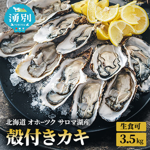 先行予約 北海道 オホーツク サロマ湖産 殻付き カキ 生食可 3.5kg 牡蠣職人厳選 牡蠣 国産 貝付き 魚貝類 生牡蠣 ノロウイルス検査実施 海のミルク 海鮮 海の幸 つまみ 晩酌 お酒のあて 