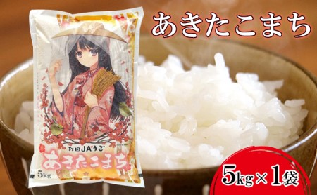 【令和7年度産】美少女イラスト 粒がひと回り大きい あきたこまち5kg 単一原料米【 米 お米 白米 精米 粒が大きい ふっくら 甘み 新米 先行予約 高品質米 ブランド米 銘柄米 秋田県 羽後町 】