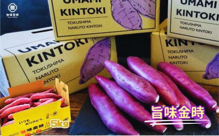 【予約受付中・2026年11月中旬頃より順次発送】鳴門市大津産　旨味金時 5kg　鳴門　ほくほく　天ぷら　焼き芋　スイーツ　さつまいも　