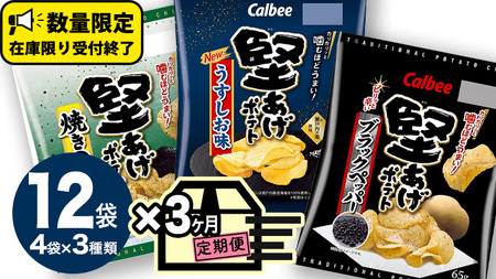 【 カルビー 3ヶ月 定期便 】 堅あげポテト 3種 各4袋 セット ( 計12袋 )