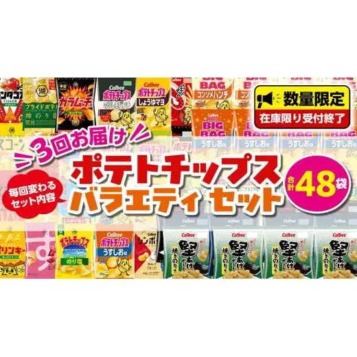 【 スナック菓子 3ヶ月 定期便 】 カルビー 湖池屋 人気 48袋 詰め合わせ バラエティ セット