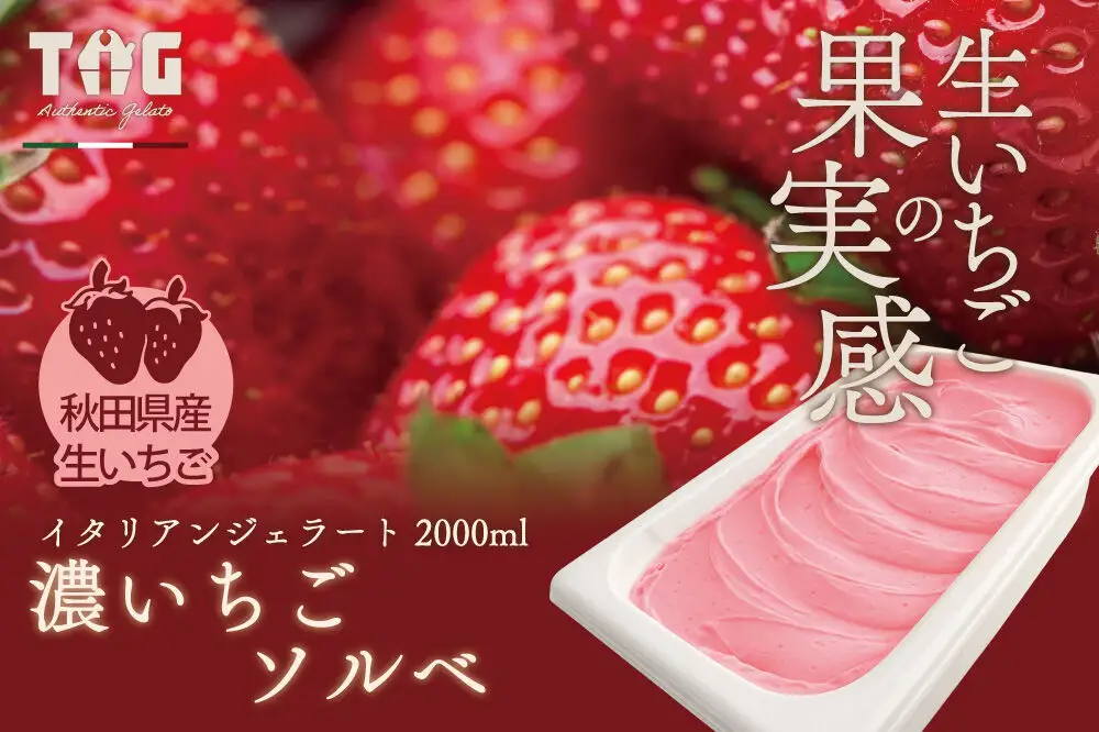 ジェラテリア TiG（ティグ）イタリアンジェラート 無着色・無香料 濃いちごソルベ 2000ml（2L）