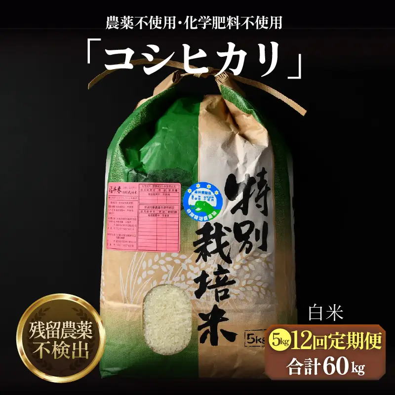【先行予約】【令和8年産 新米】定期便《12ヶ月連続お届け》コシヒカリ 精米 5kg （計60kg）特別栽培米 農薬不使用 化学肥料不使用 ／残留農薬ゼロ 高品質 鮮度抜群 福井県産 ブランド米 白米 ※2026年10月上旬以降順次発送 [aw063-n005]