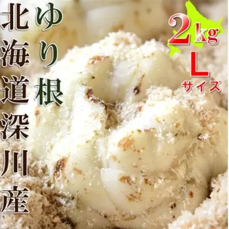 【令和8年産先行受付】北海道深川市産　ゆり根(Lサイズ)　2kg【1304890】