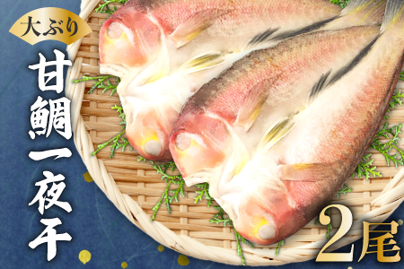 大ぶり甘鯛一夜干（２尾）【甘鯛 一夜干し 2尾 干物 あまだい ぐじ 大ぶり おつまみ 酒の肴 素焼き 唐揚げ 鯛 たい タイ あまだい アマダイ 魚介 魚貝 一日漁 無添加 贅沢 高級 父の日 母の日】
