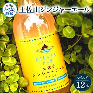 土佐山ジンジャーエールマイルド12本セット 