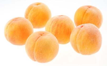 黄金桃（ご家庭用）約2kg 6～9玉入り【2026年8月下旬～9月上旬 発送予定】【もも 桃 果物 フルーツ 国産 人気 おすすめ 岡山県 倉敷市】