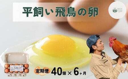 【毎月定期便／6ヶ月】平飼い飛鳥の卵 40個／ 卵 たまご 玉子 生卵 鶏卵 生たまご たまごかけごはん 卵焼き 目玉焼き 冷蔵 チルド 古都風雅ファーム 奈良県 宇陀市 ふるさと納税