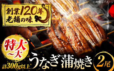 うなぎ 蒲焼き 2尾 多治見市/澤千 鰻 うなぎ ウナギ 老舗 蒲焼き かば焼き うな丼 うな重 ひつまぶし[TDD004]